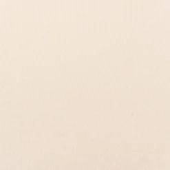 Jersey Tencel Modal für Bekleidung einfarbig beige 1,45m Breite