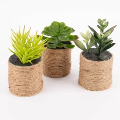 Künstliche Sukkulente im Jutetopf grün natur verschiedene Varianten 8,5x15cm