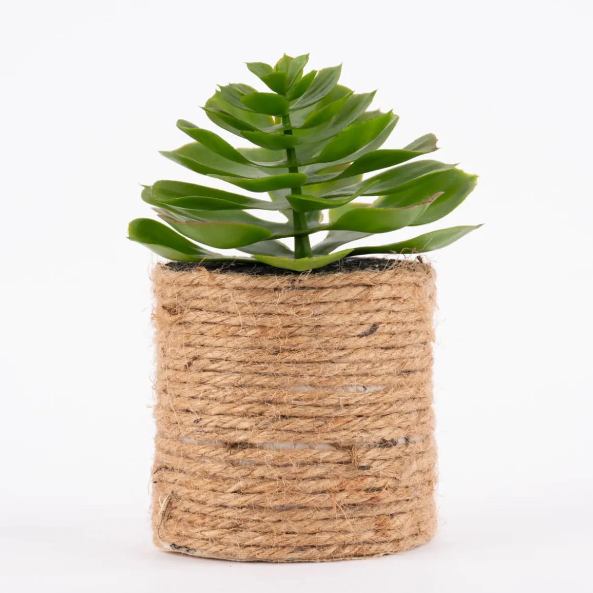 Künstliche Sukkulente im Jutetopf grün natur verschiedene Varianten 8,5x15cm