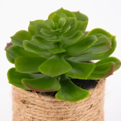 Künstliche Sukkulente im Jutetopf grün natur verschiedene Varianten 8,5x15cm