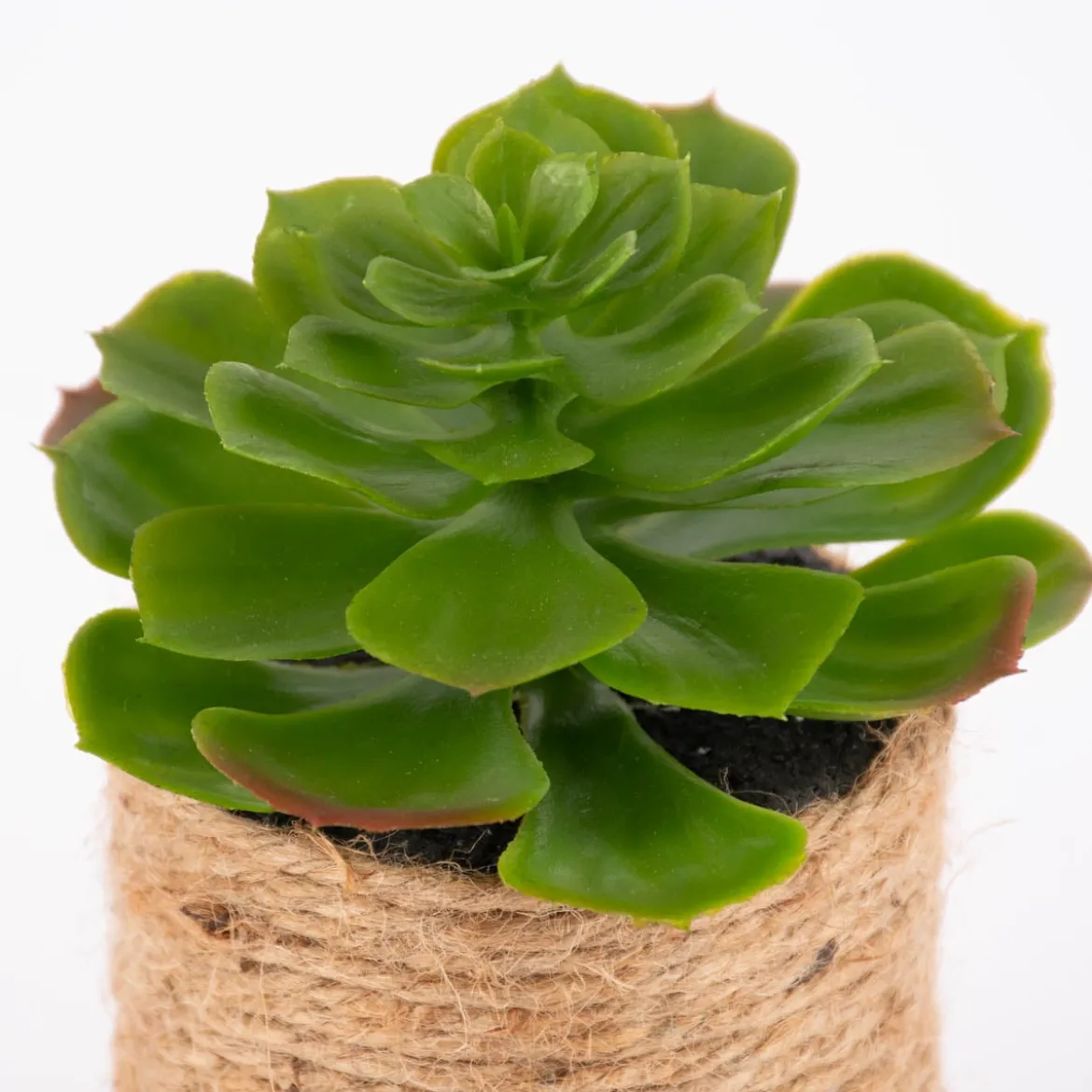 Künstliche Sukkulente im Jutetopf grün natur verschiedene Varianten 8,5x15cm