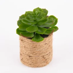 Künstliche Sukkulente im Jutetopf grün natur verschiedene Varianten 8,5x15cm
