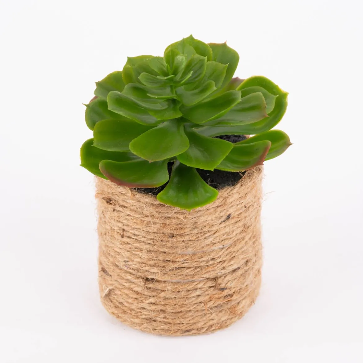 Künstliche Sukkulente im Jutetopf grün natur verschiedene Varianten 8,5x15cm