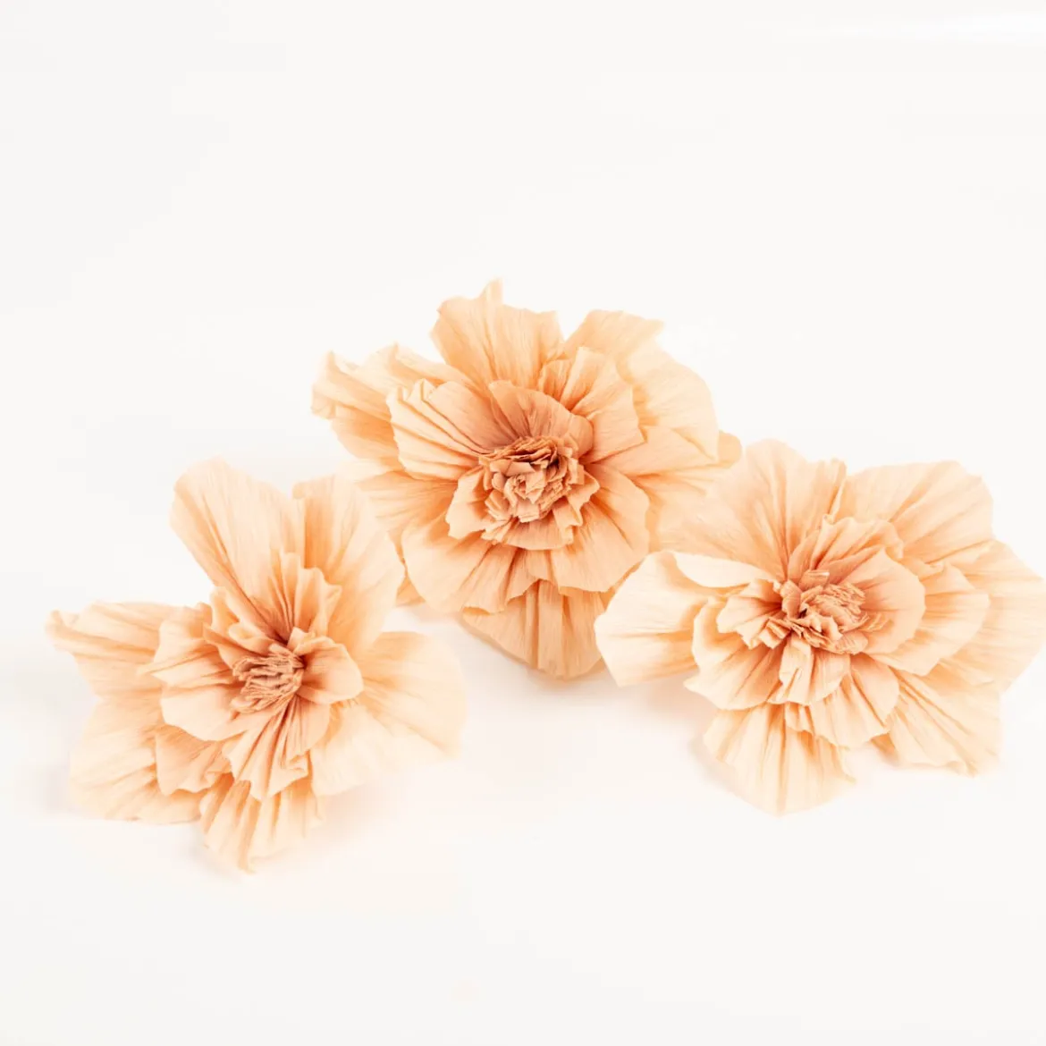 Krepppapier Blüten Soft Pfirsich 3er Set von Rico Design (La Vie en Rose)