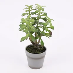 Kunstpflanze im Topf Sukkulente grün 27cm