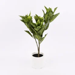 Kunstpflanze im Topf Zebrapflanze grün 63cm