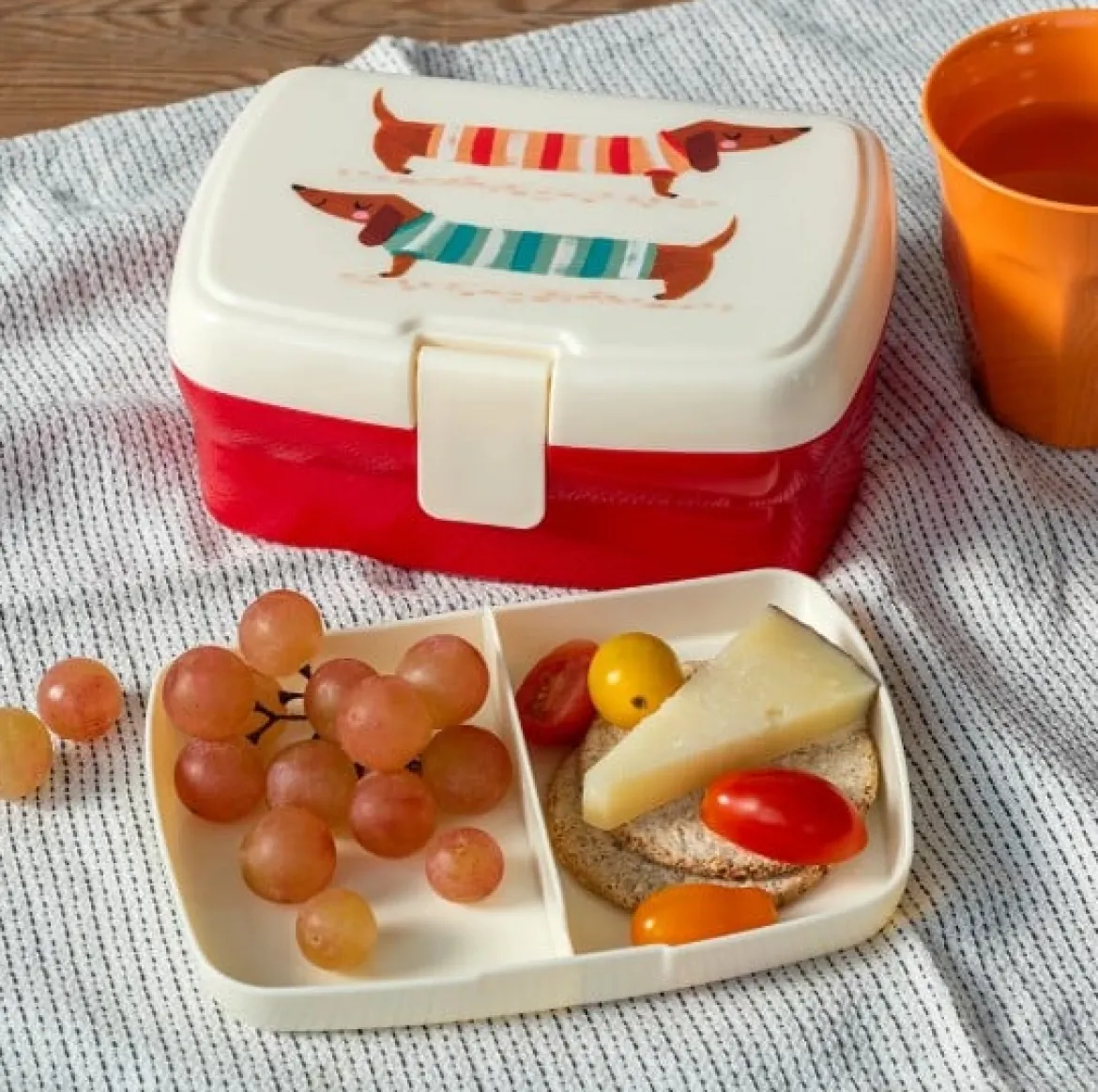 Lunchbox mit herausnehmbarem Fach Sausage Dog 17,5x13x7cm von Rex London