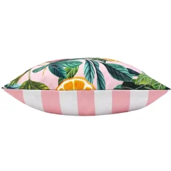 Outdoor Kissen Citrus Zitrusfrüchte Aquarell blush pink 43x43cm