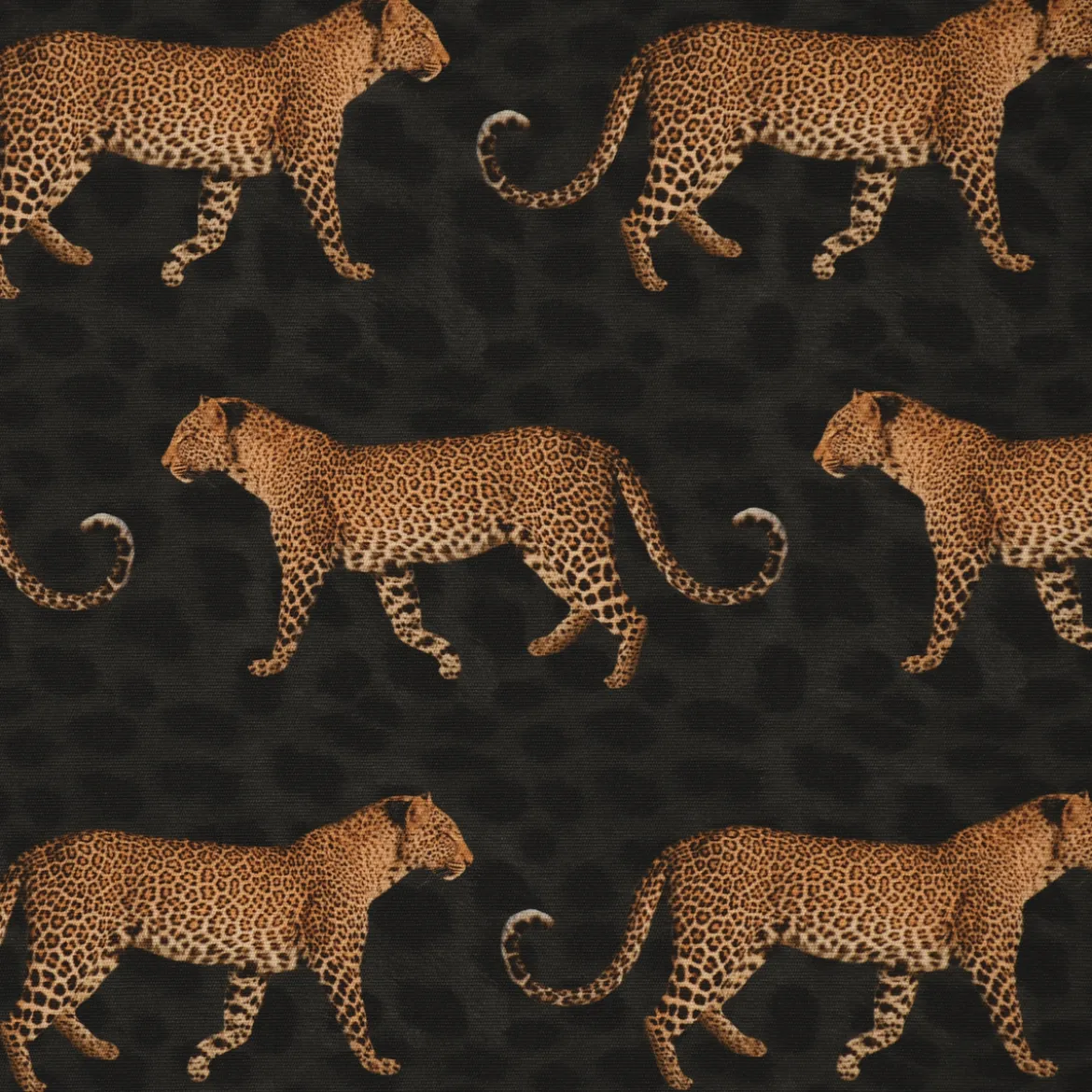 Outdoorstoff Dralon Teflonbeschichtung Leopard Parade Leoparden schwarz braun 1,40m Breite