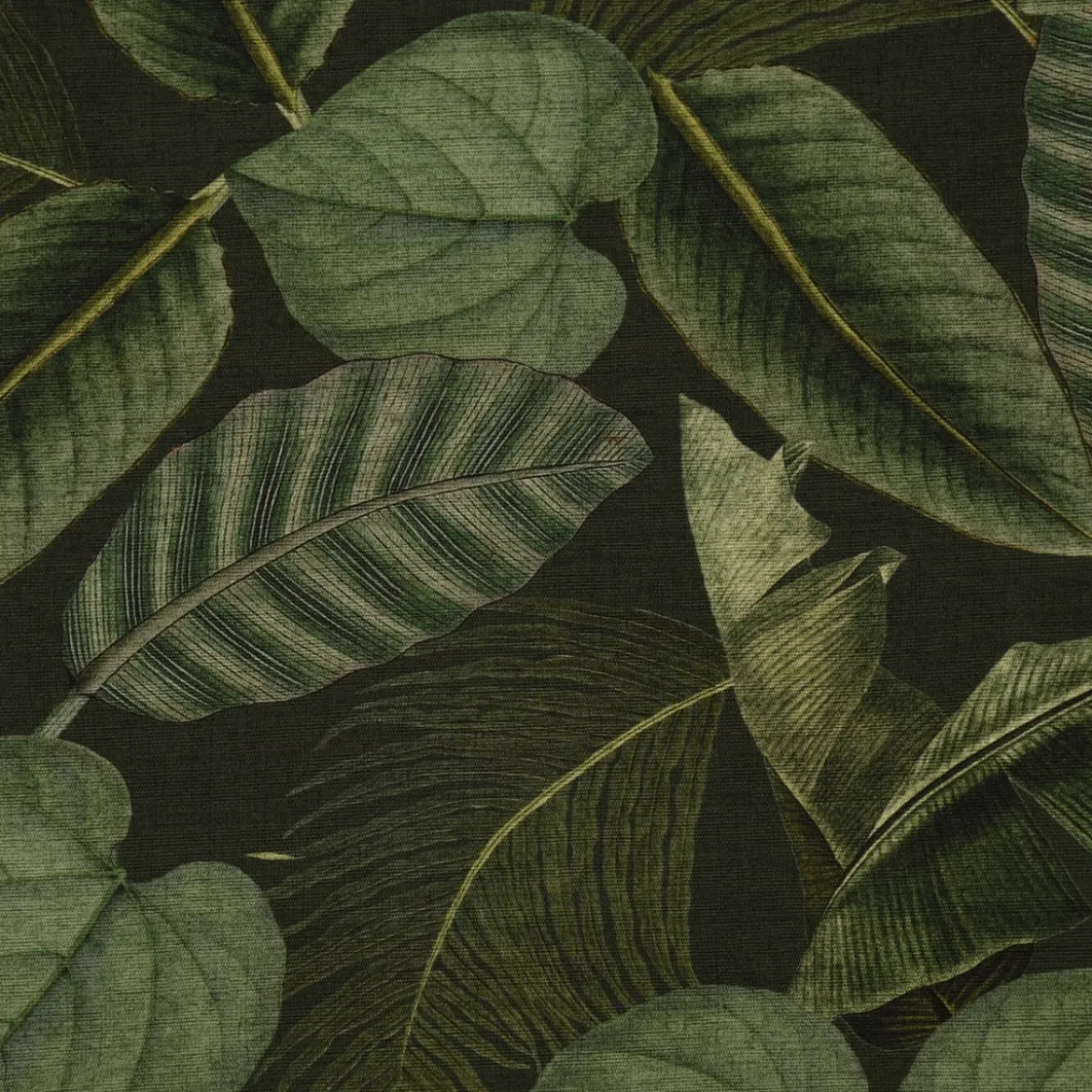 Outdoorstoff Dralon Teflonbeschichtung Botanic Leaf Detailed Blätter Exotik grün 1,40m Breite