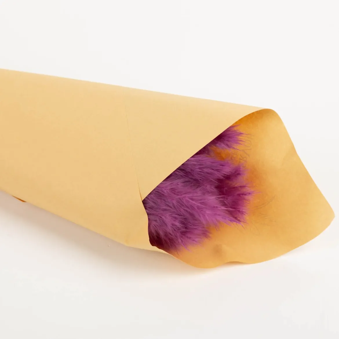 Pampasgras getrocknet Bund mit 15 Stilen lila 70-80cm von Werner Voss
