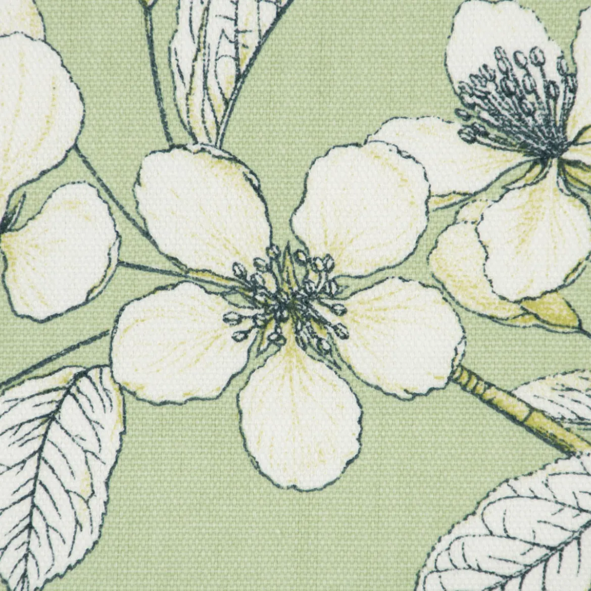 Panama Dekostoff Baumwollstoff Cherry Blossom Kirschblüten grün weiß 140cm Breite