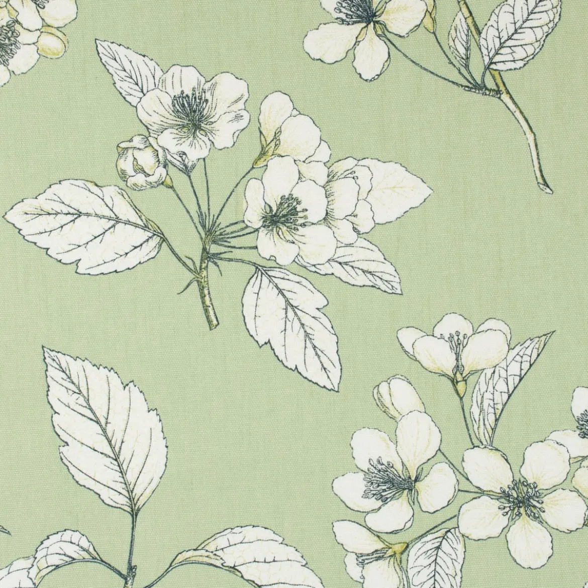 Panama Dekostoff Baumwollstoff Cherry Blossom Kirschblüten grün weiß 140cm Breite