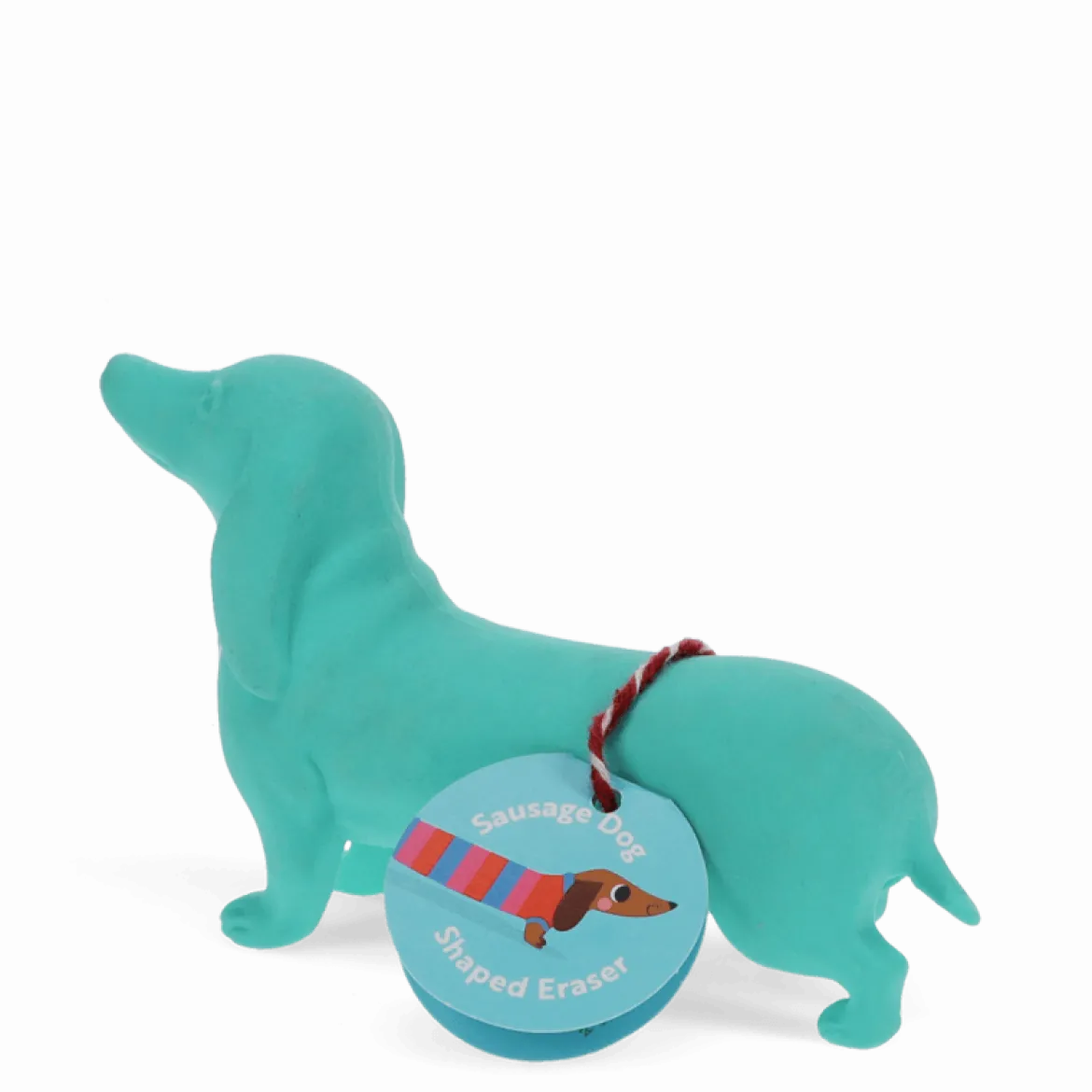Radiergummi Dackel XXL Sausage Dog türkis 14x3,8x8cm