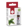 Rayher Seifen Duftöl Grüner Tee 10ml