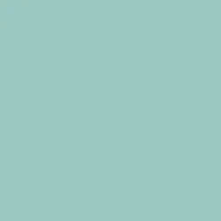 Rayher Seifenfarbe mintgrün 10ml