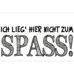 Rayher Seifenlabel rechteckig Ich lieg' hier nicht zum Spass! 40x65mm