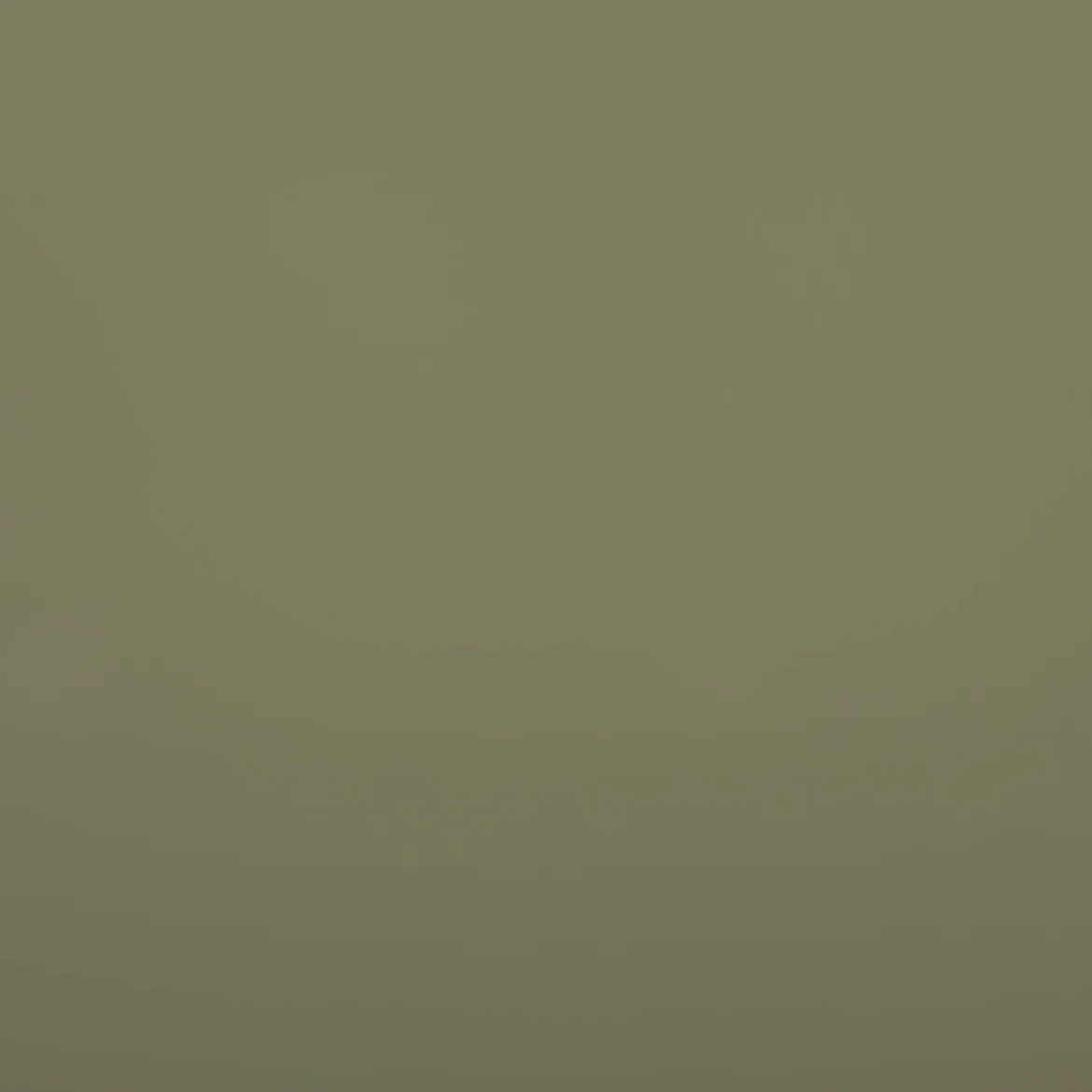 Regenjackenstoff wasserdicht soft uni khaki-grün 145cm Breite