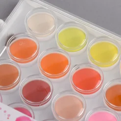 Rico Design Basic Water Colours Wasserfarbkasten 36 Farben