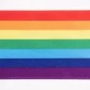 Rico Design Dekoband Geschenkband Regenbogen Breite 6cm bunt 3m