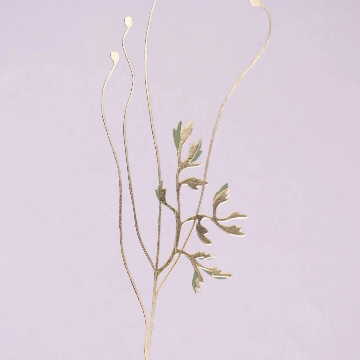 Rico Design DIY Card Goldmohn flieder 12,5x17,6cm