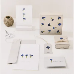 Rico Design Gepresste Blüten Chinesische Nelke 6 Stück blau grün