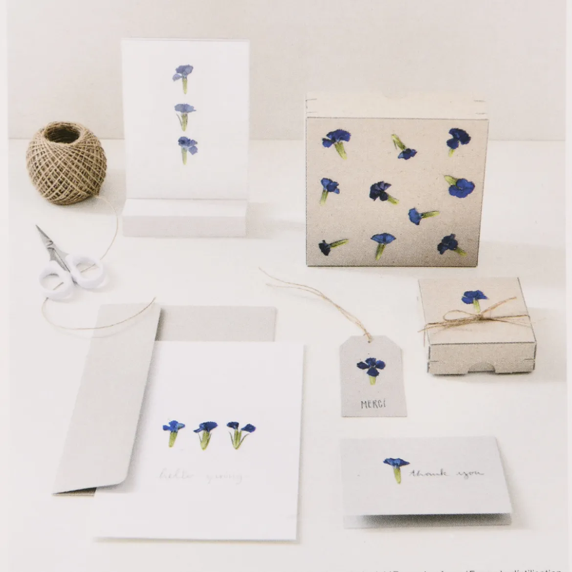 Rico Design Gepresste Blüten Chinesische Nelke 6 Stück blau grün
