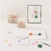Rico Design Gepresste Blüten Mix Set orange türkis 13 Stück