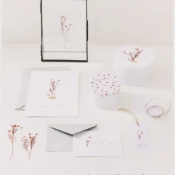 Rico Design Gepresste Pflanzen Schleierkraut 4 Stück rosa grün