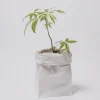 Rico Design Maxi Blockbodenbeutel M Blanko 51x23x13,5cm 2 Stück verschiedene Farben