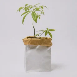 Rico Design Maxi Blockbodenbeutel L Blanko 60x28x17cm 2 Stück verschiedene Farben