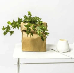 Rico Design Paper Poetry Maxi-Blockbodenbeutel S 41x18x12cm 3 Stück Blockbodenbeutel natur