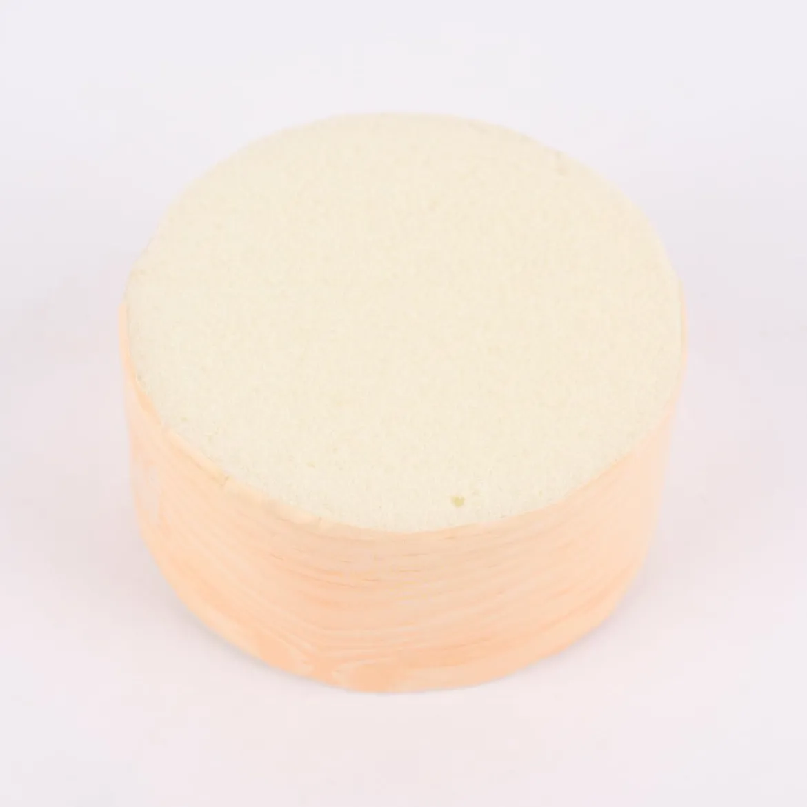 Rico Design Steckschaum für Trockenblumen creme 7x7,5x4cm