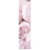 Schiebevorhang Bambusoptik Rosana Digitaldruck Rosen rosa kürzbar 60x260cm