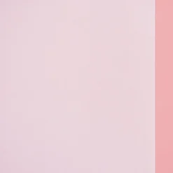 Schiebevorhang Flächenvorhang Flächenschal 60x245cm Rom Voile weiß