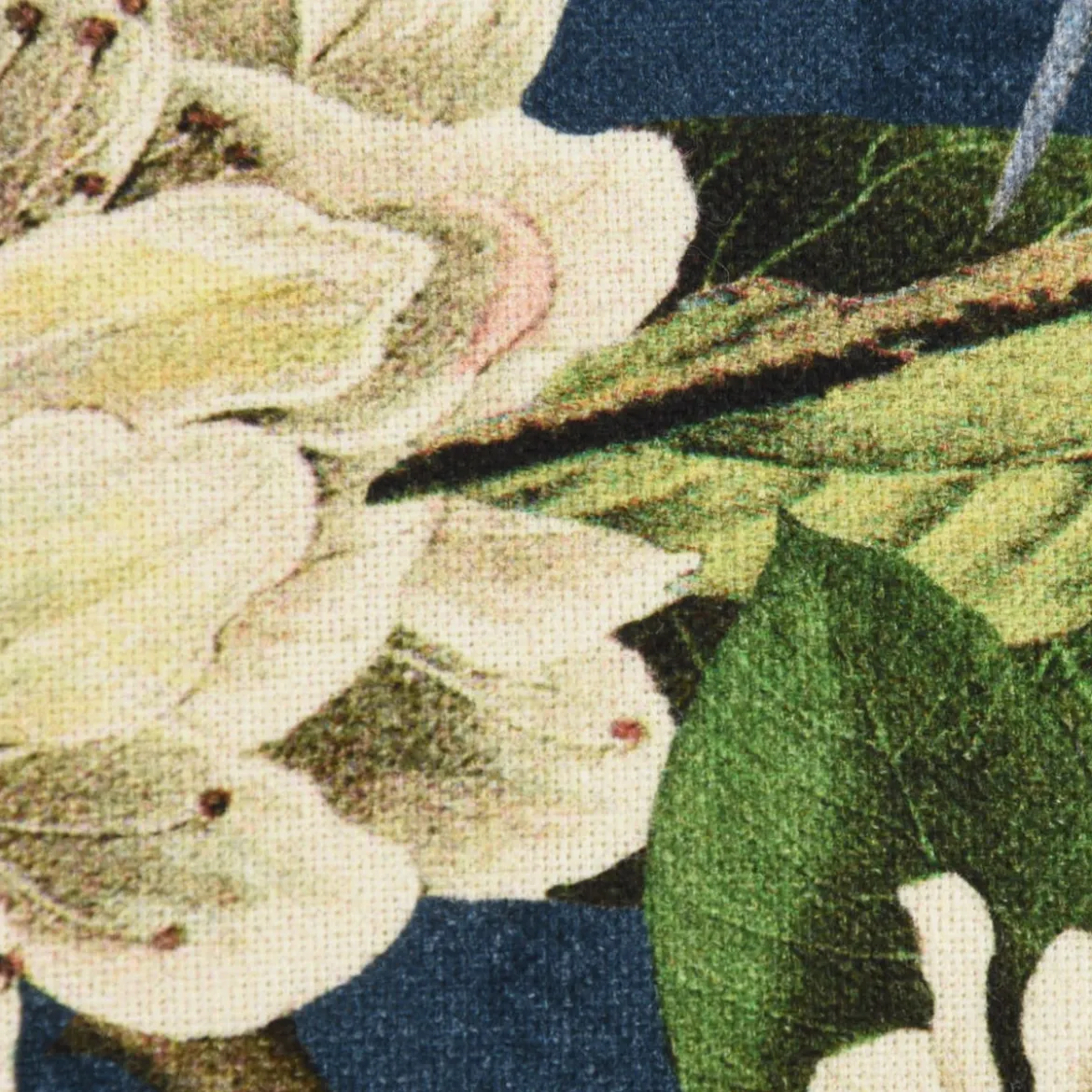 SCHÖNER LEBEN. Kissenhülle Affe Vogel Blumen Digitaldruck blau grün 30x50cm