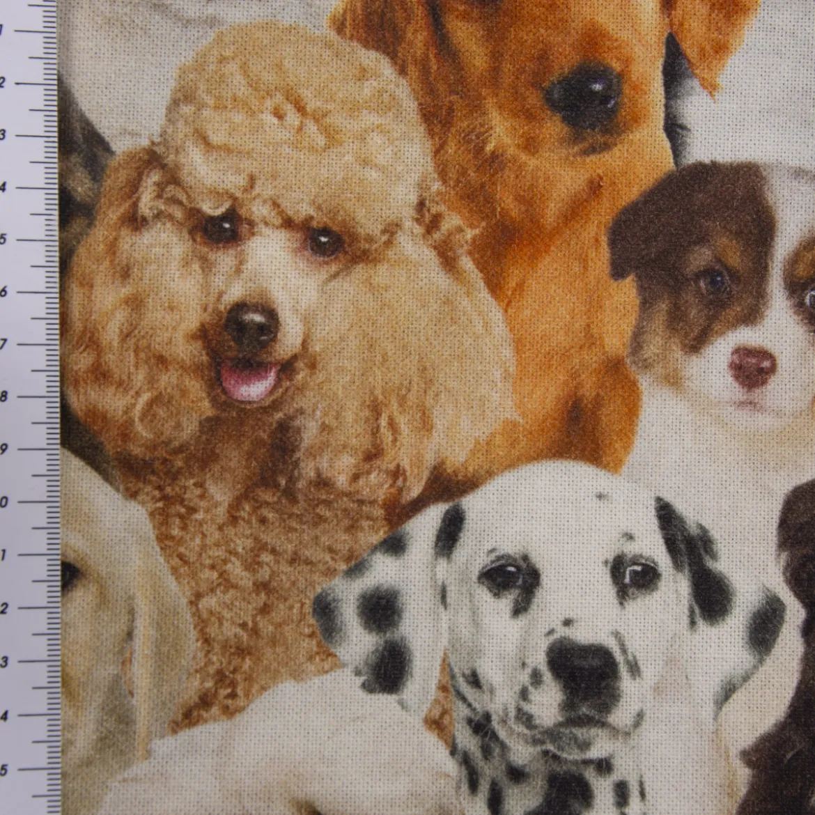 SCHÖNER LEBEN. Kissenhülle Hunde Welpen braun weiß schwarz verschiedene Größen