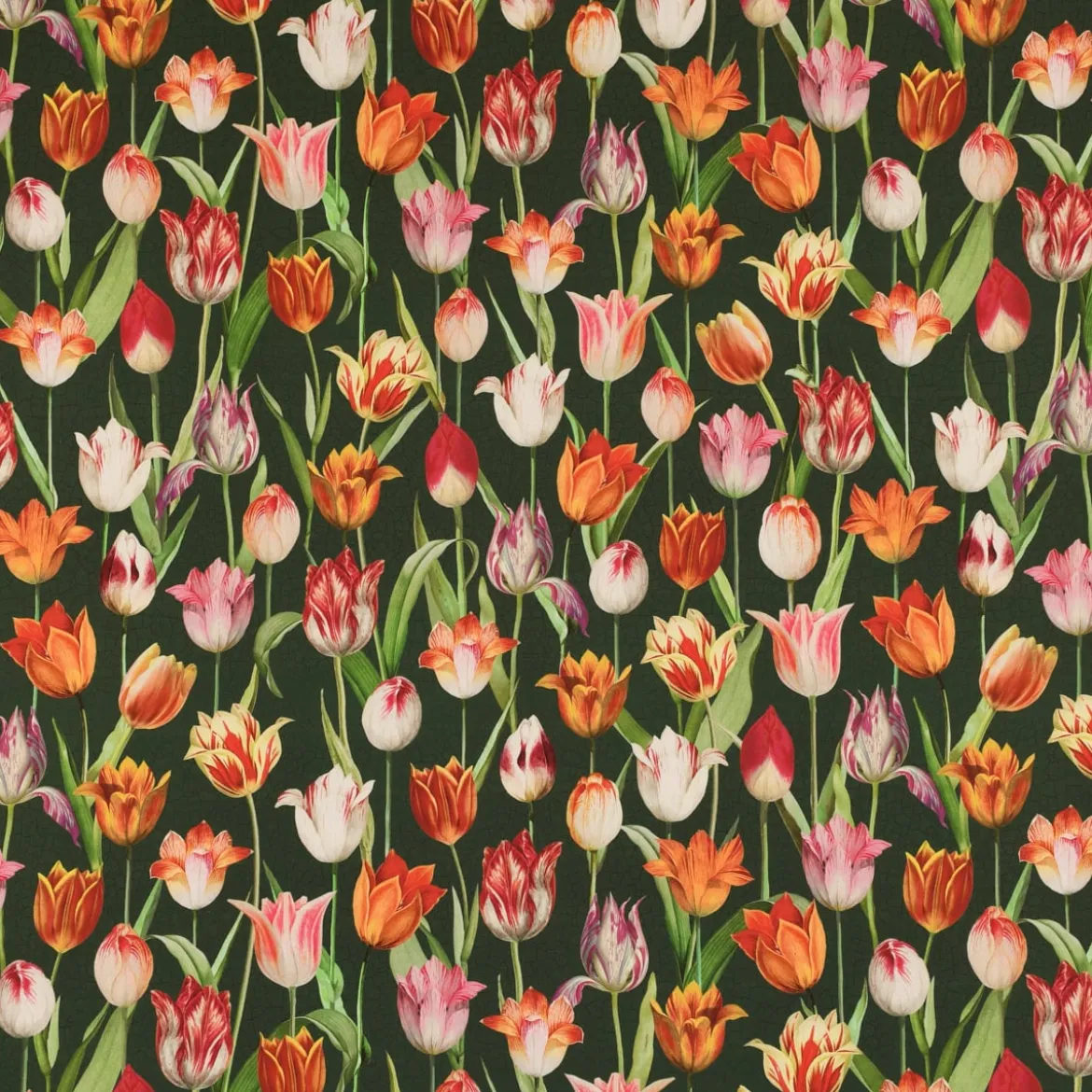 SCHÖNER LEBEN. Kissenhülle Outdoor Tulip Painting Tulpen grün rot verschiedene Größen