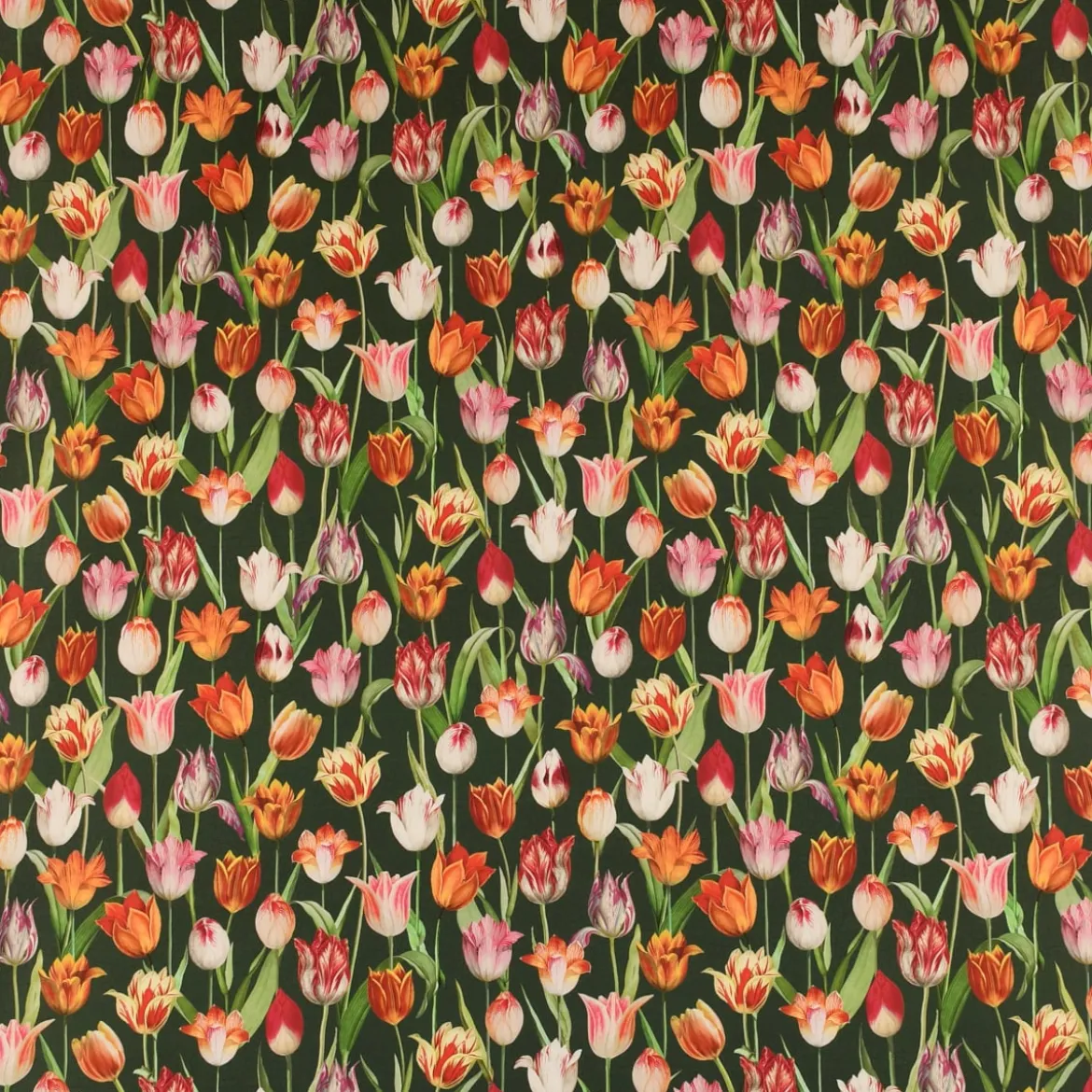 SCHÖNER LEBEN. Kissenhülle Outdoor Tulip Painting Tulpen grün rot verschiedene Größen