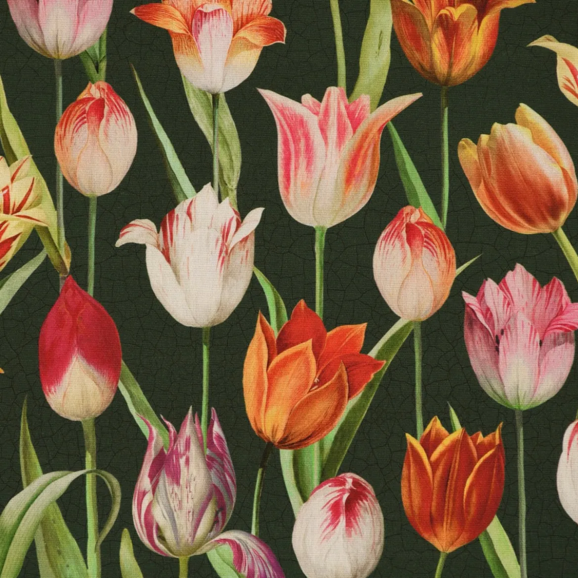 SCHÖNER LEBEN. Kissenhülle Outdoor Tulip Painting Tulpen grün rot verschiedene Größen