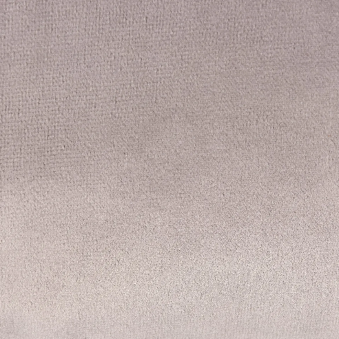 SCHÖNER LEBEN. Samtkissen mit Kederumrandung und Federfüllung silbergrau 30x50cm