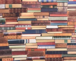 SCHÖNER LEBEN. Vorhang Vorhangschal mit Smok-Schlaufenband Digitaldruck Bücher Books bunt 245cm oder Wunschlänge