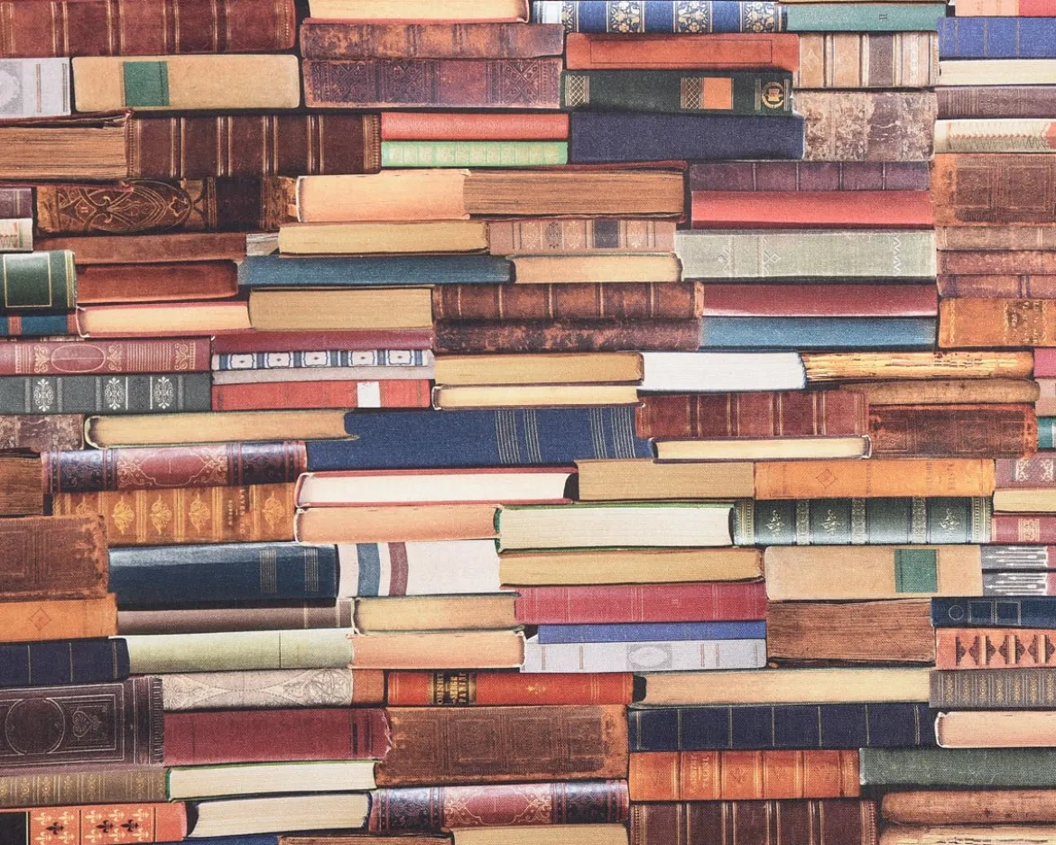 SCHÖNER LEBEN. Vorhang Vorhangschal mit Smok-Schlaufenband Digitaldruck Bücher Books bunt 245cm oder Wunschlänge