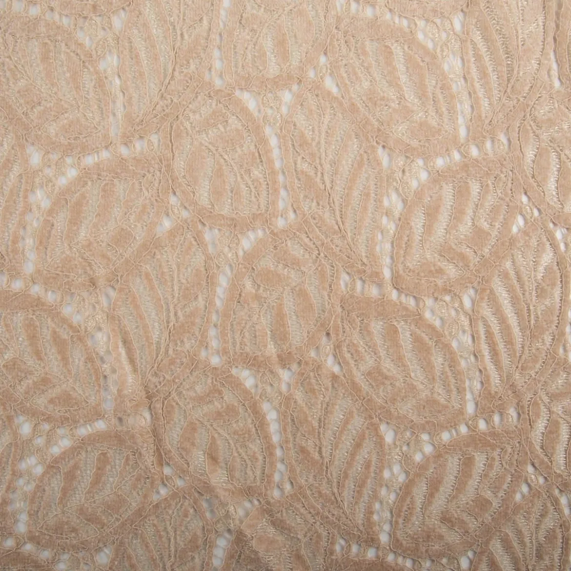 Spitze mit Chenille Blätterdessin Meterware beige 150cm breit