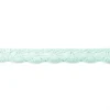 Spitze Zierband mint Breite: 2cm