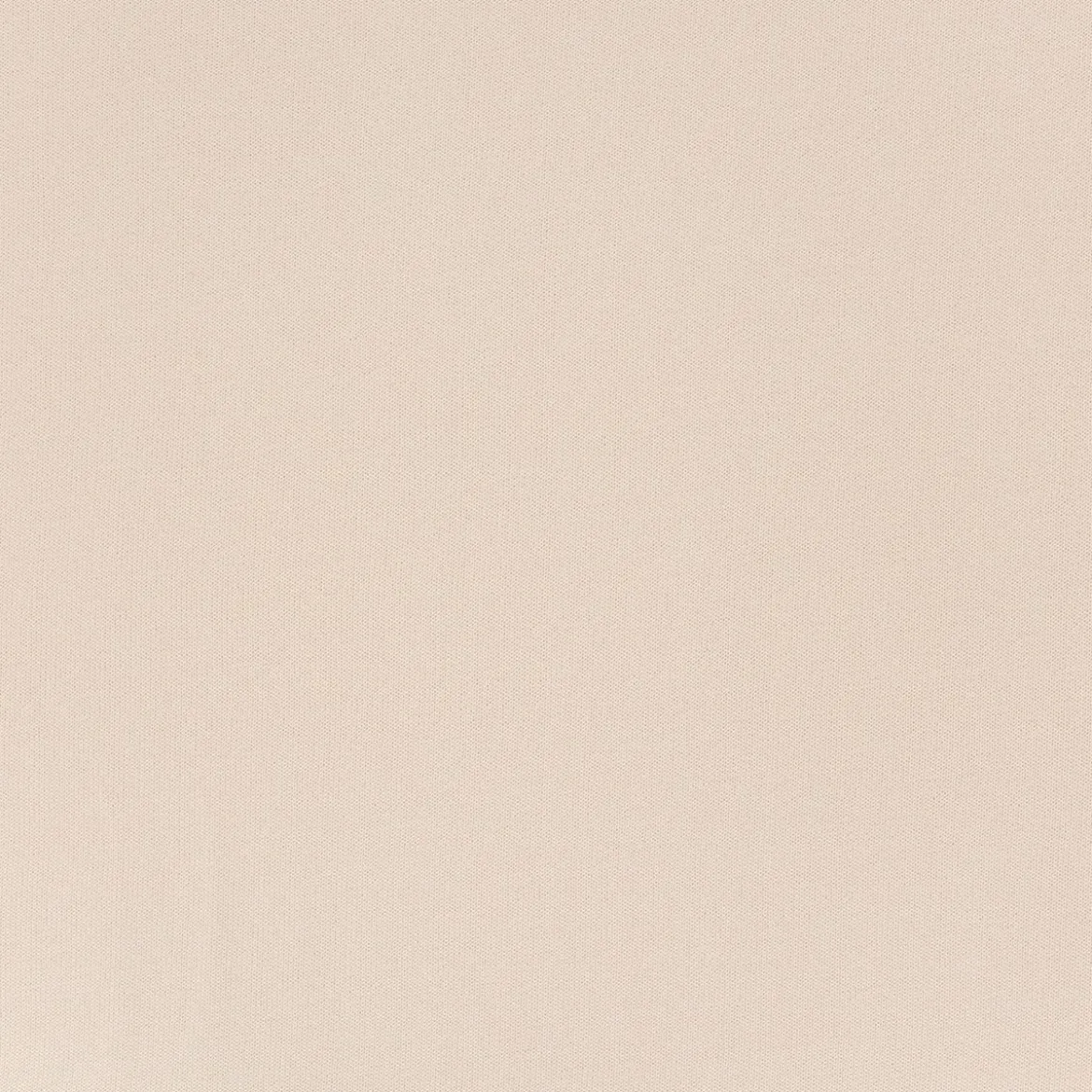 Strickstoff aus 100% Baumwolle in Ivory 135cm Breite