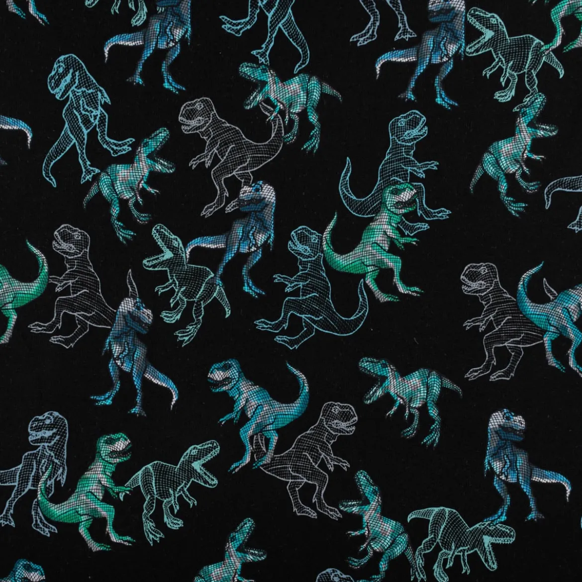 Sweatstoff Jogging Digitaldruck Dinosaurier schwarz blau 1,45m Breite