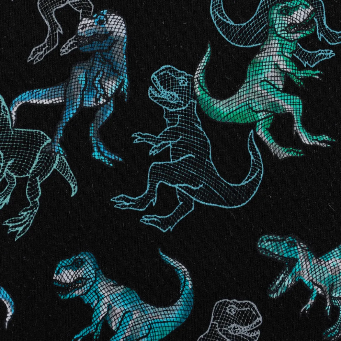 Sweatstoff Jogging Digitaldruck Dinosaurier schwarz blau 1,45m Breite