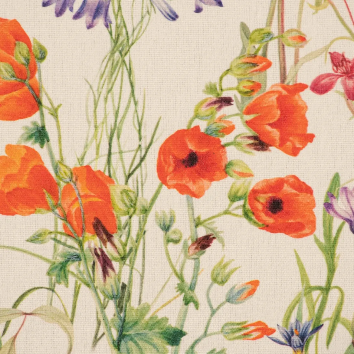 Tischdecke abwaschbar Wildflower Sunny Field Feldblumen ecru bunt div. Größen von SCHÖNER LEBEN.