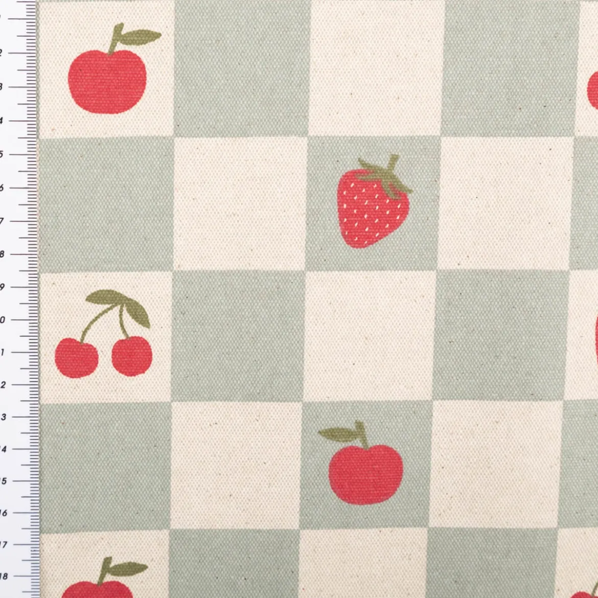 Tischdeckenstoff abwaschbar Canvas beschichtet Karo Obst grün natur rot 1,48m Breite